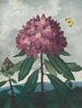 Le Rhododendron pontique - Robert John Thornton — näkymä teoksesta