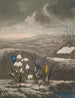 Le Perce-neige - Robert John Thornton — näkymä teoksesta