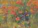 Coquelicots - Robert William Vonnoh — näkymä teoksesta