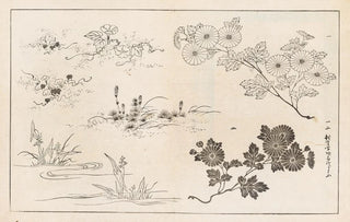 Rokkaku Shisui - Shinsen moyo no shiori Pl10.webp