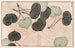 Shinsen moyo no shiori Pl17 - Rokkaku Shisui — näkymä teoksesta