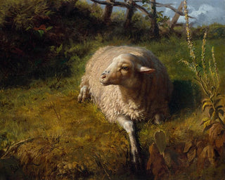 Un mouton au repos - Rosa Bonheur — näkymä teoksesta