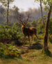 Un cerf - Rosa Bonheur — näkymä teoksesta