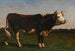 Kuningaslauma - Rosa Bonheur — näkymä teoksesta