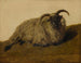 Le Mérinos - Rosa Bonheur — näkymä teoksesta