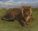 Lionne au repos - Rosa Bonheur — näkymä teoksesta