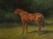 L syksyn punainen - Rosa Bonheur — näkymä teoksesta