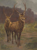 Les monarques de la forêt - Rosa Bonheur — näkymä teoksesta