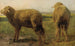 Lammasaitauksessa niityllä - Rosa Bonheur — näkymä teoksesta