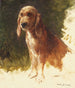 Étude d'un chien - Rosa Bonheur — näkymä teoksesta