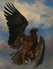 L'aigle blessé - Rosa Bonheur — näkymä teoksesta