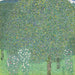 Roseraies sous les arbres - Gustav Klimt — näkymä teoksesta