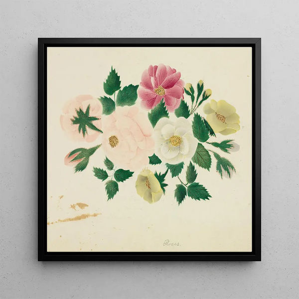 Roses de juin - Mary Altha Nims