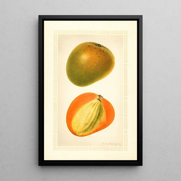 Mangifera indica Baboony - Royal Charles Steadman — kehystetty taideteos seinällä