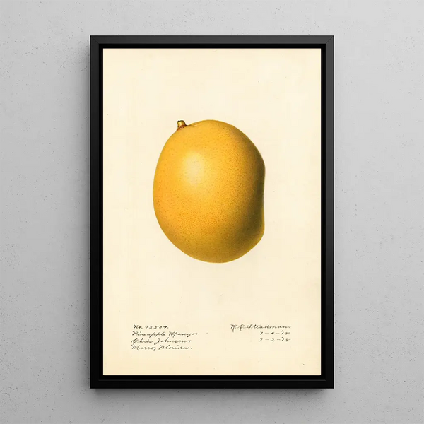 Mangifera indica Ananas Mango - Royal Charles Steadman — kehystetty taideteos seinällä