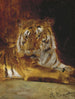 Tigre - Rudolf Ernst — näkymä teoksesta