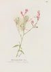 Gaura - S Fred Prince — näkymä teoksesta