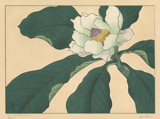 Kurkkujen kukkijat - Sakai Hōitsu — näkymä teoksesta