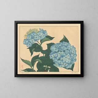 Hortensia - Sakai Hōitsu — kehystetty taideteos seinällä