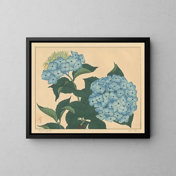 Hortensia - Sakai Hōitsu — kehystetty taideteos seinällä