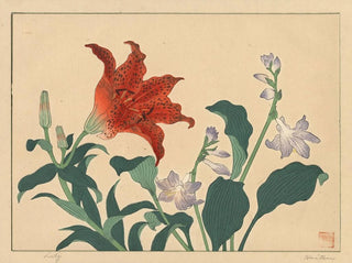 Lys - Sakai Hōitsu — näkymä teoksesta