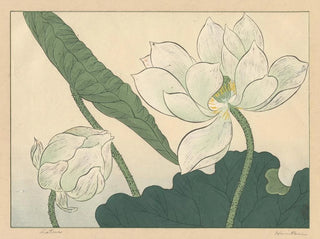 Lotus - Sakai Hōitsu — näkymä teoksesta