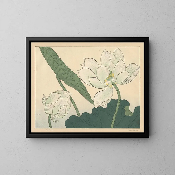 Lotus - Sakai Hōitsu — kehystetty taideteos seinällä