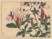 Magnolia - Sakai Hōitsu — näkymä teoksesta