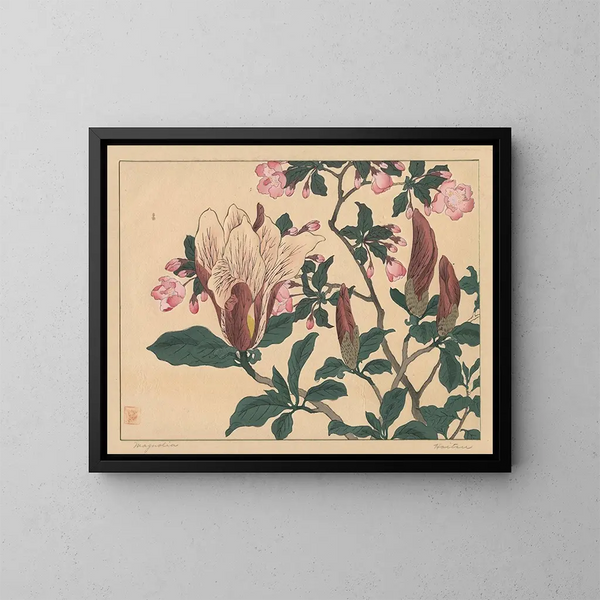 Magnolia - Sakai Hōitsu — kehystetty taideteos seinällä