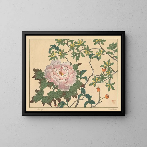 Pivoine - Sakai Hōitsu — kehystetty taideteos seinällä