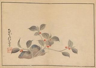Sakai Hoitsu - Sakai Hoitsu gajo Pl02.webp