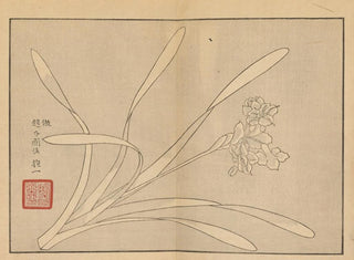 Sakai Hoitsu, kukka- ja lintimaalauksia, Pl10 - Sakai Hōitsu — näkymä teoksesta