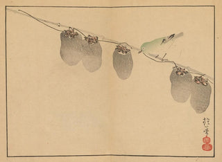 Sakai Hoitsu, kukka- ja lintimaalauksia, Pl. 13 - Sakai Hōitsu — näkymä teoksesta