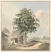 Saint assis près d'un socle sous un arbre - Samuel Davis — näkymä teoksesta