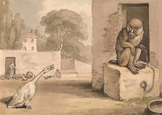 Samuel Howitt - A Goose and a Baboon.webp