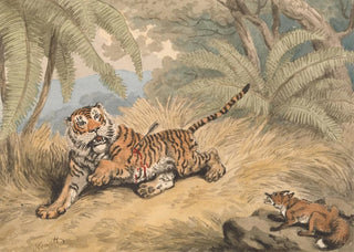 Samuel Howitt - A Tiger Pierced with an Arrow.webp