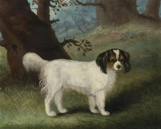 King Charles Spaniel - Samuel Spode — näkymä teoksesta