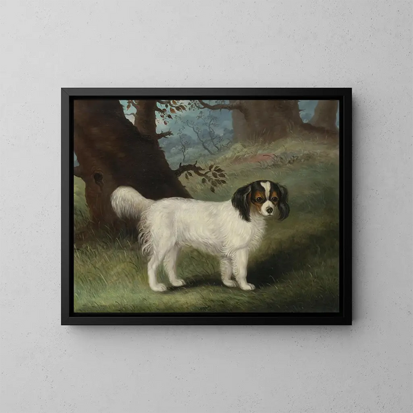 King Charles Spaniel - Samuel Spode — kehystetty taideteos seinällä