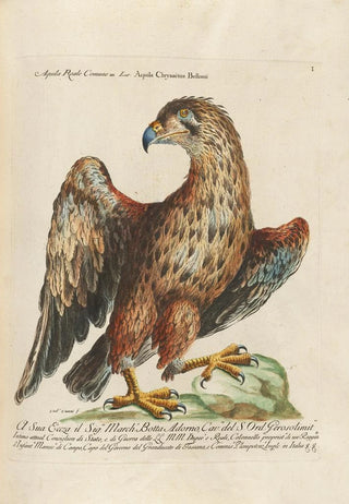 Saverio Manetti - Ornithologia methodice digesta Pl001.webp