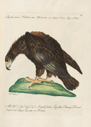 Saverio Manetti - Ornithologia methodice digesta Pl003.webp