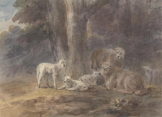 Sawrey Gilpin - Sheep under a tree.webp