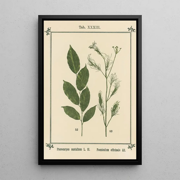 Sebastian Kneipp - Plantatlas to My watercure Pl13.webp
