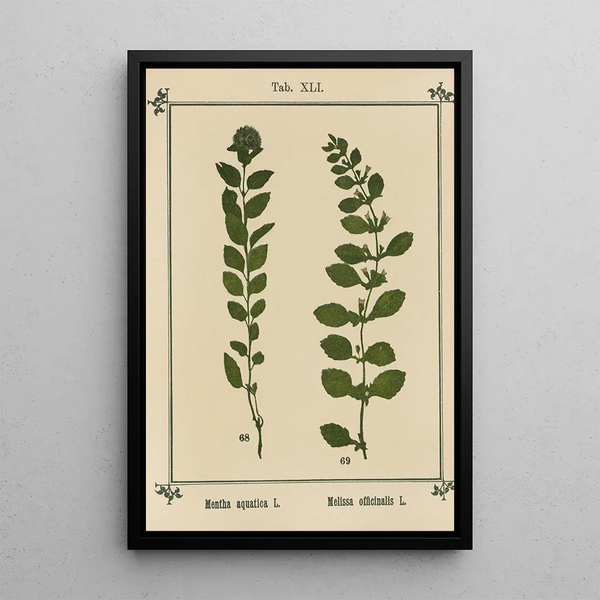 Sebastian Kneipp - Plantatlas to My watercure Pl20.webp