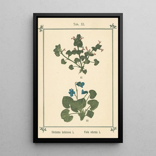 Sebastian Kneipp - Plantatlas to My watercure Pl31.webp