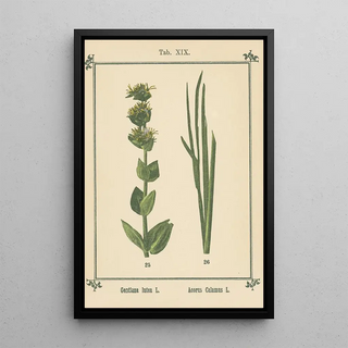 Sebastian Kneipp - Plantatlas to My watercure Pl38.webp