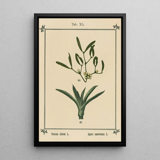 Sebastian Kneipp - Plantatlas to My watercure Pl41.webp