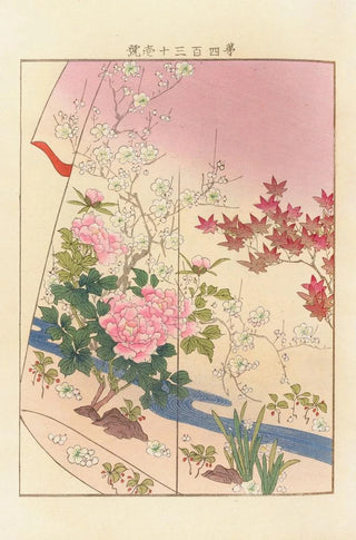 Seiko Ueno - Yachigusa v 15 Pl11.webp