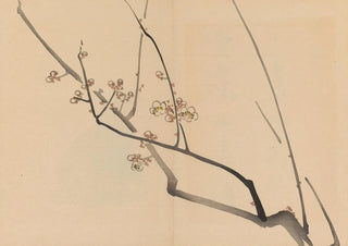 Shibata Zeshin - Zeshin iboku tairyukyo gafu Pl01.webp