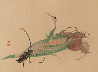 Chuka senzen PL02 - Shunkei Mori — näkymä teoksesta