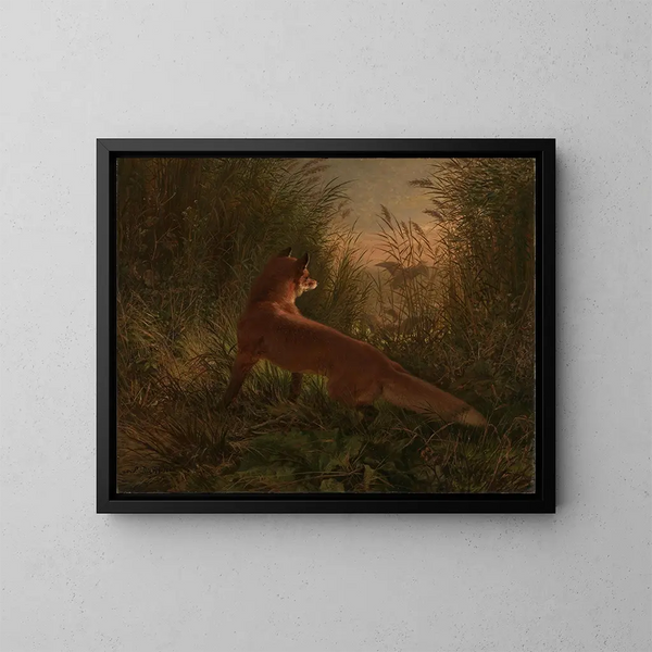 Un renard - Siegwald Dahl — kehystetty taideteos seinällä